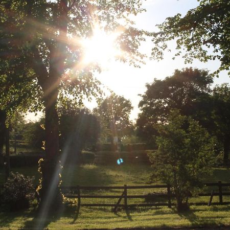 The Jockey Room Hideaway Spurstow Exterior foto